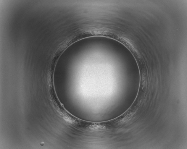 X0000072940453200608041246