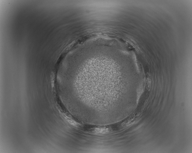 X0000072940458200608041246