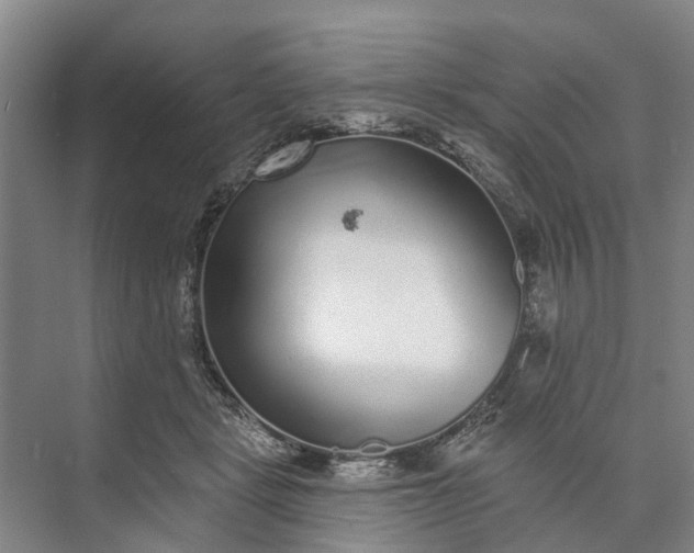 X0000072940461200608041246