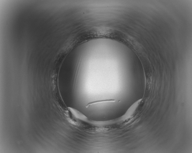 X0000072940462200608041246