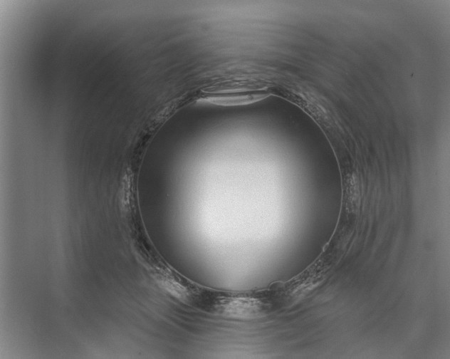 X0000072940463200608041246