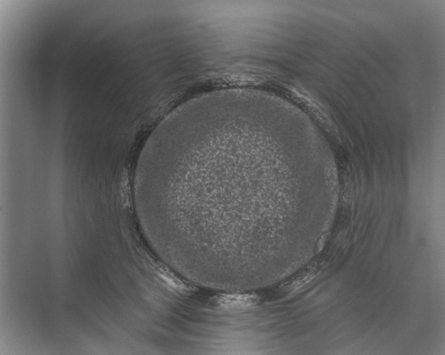 X0000072940465200608041246