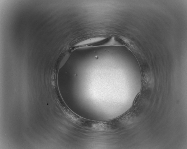 X0000072940470200608041246