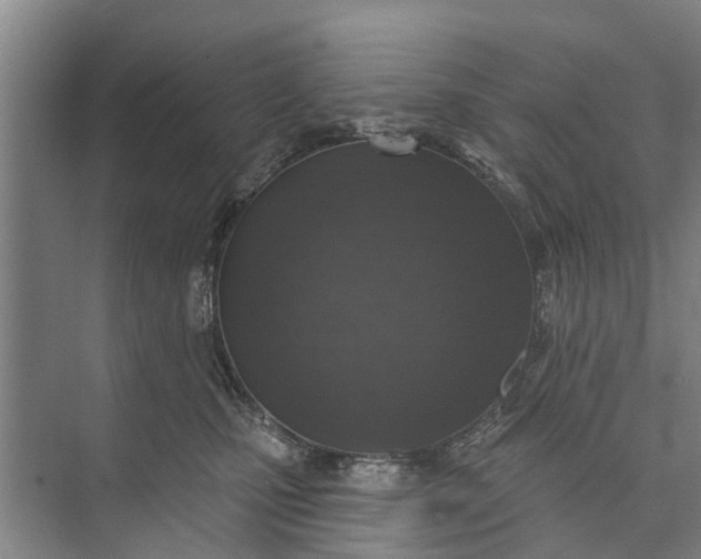 X0000072940471200608041246