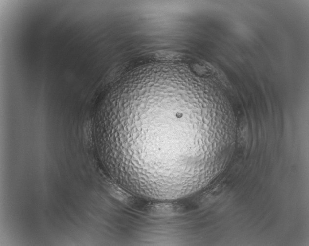 X0000072940473200608041246