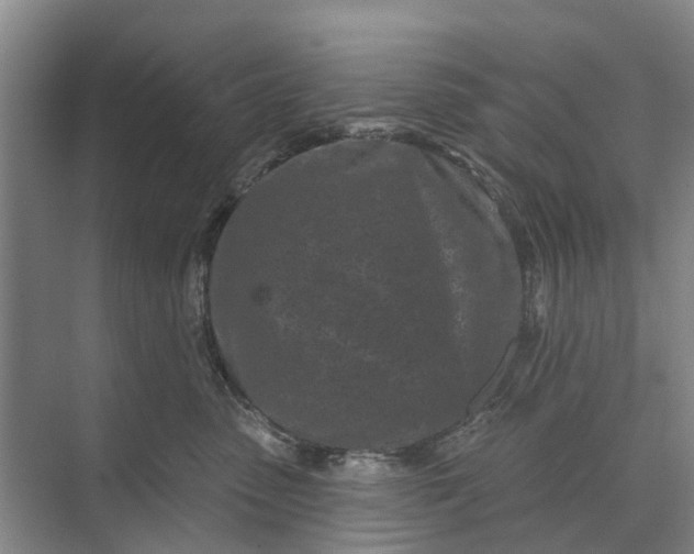 X0000072940475200608041246