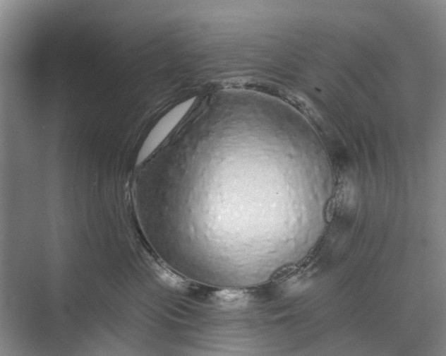 X0000072940477200608041246