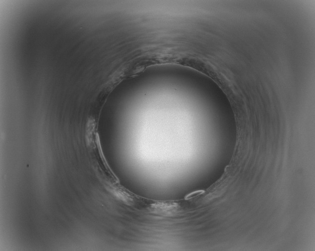 X0000072940480200608041246