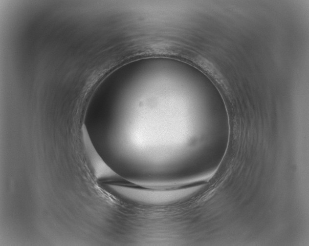 X0000072940481200608041246