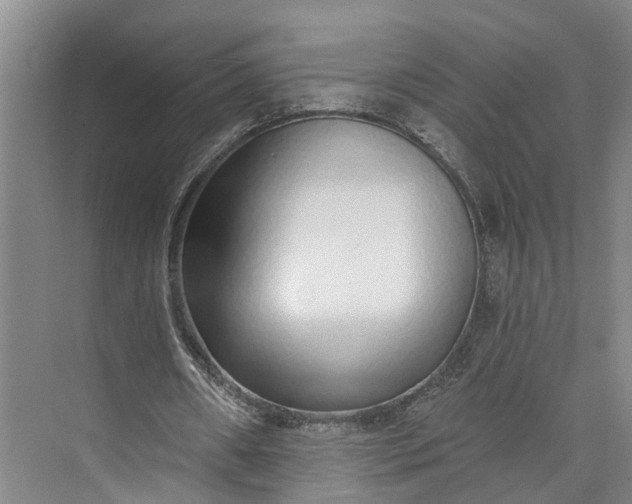 X0000072940482200608041246