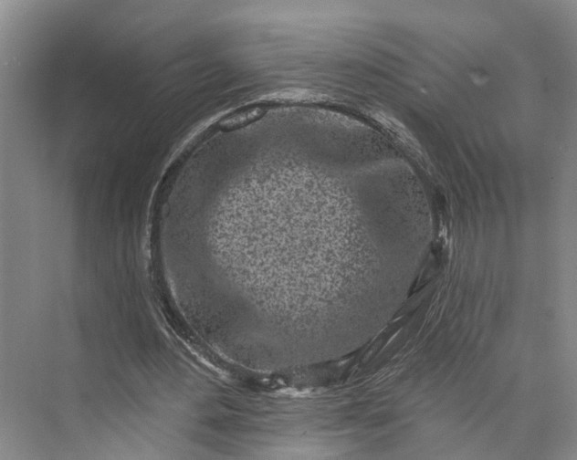 X0000072940484200608041246