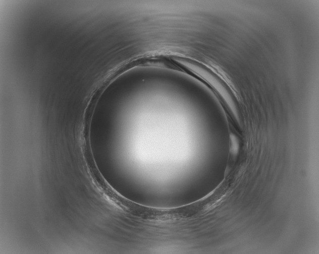 X0000072940485200608041246