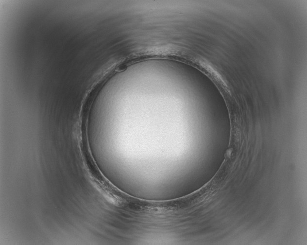 X0000072940486200608041246