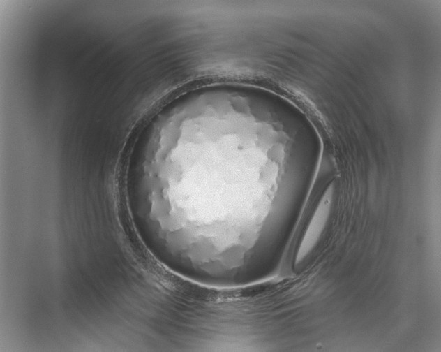 X0000072940487200608041246