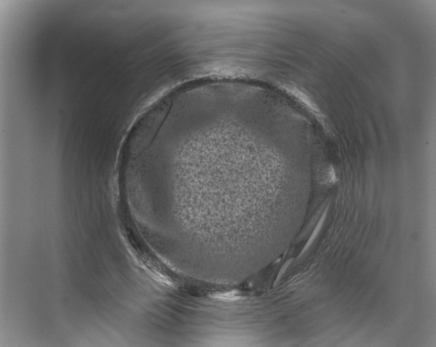 X0000072940488200608041246