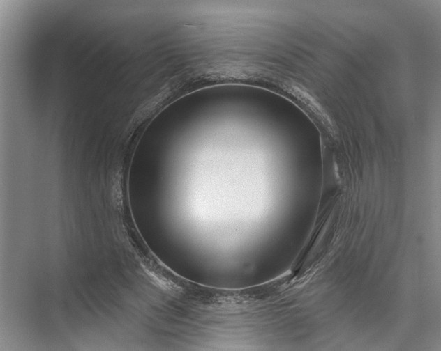 X0000072940489200608041246