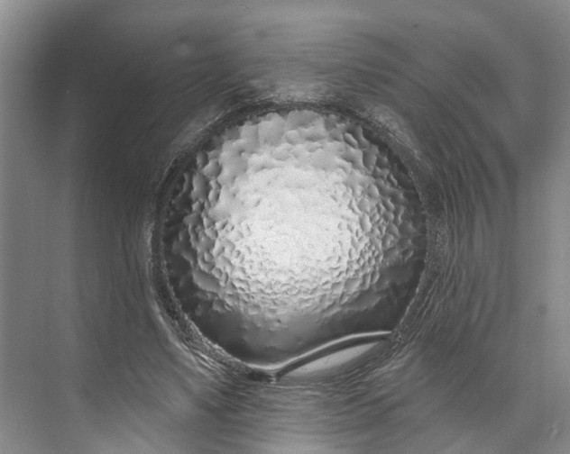 X0000072940491200608041246