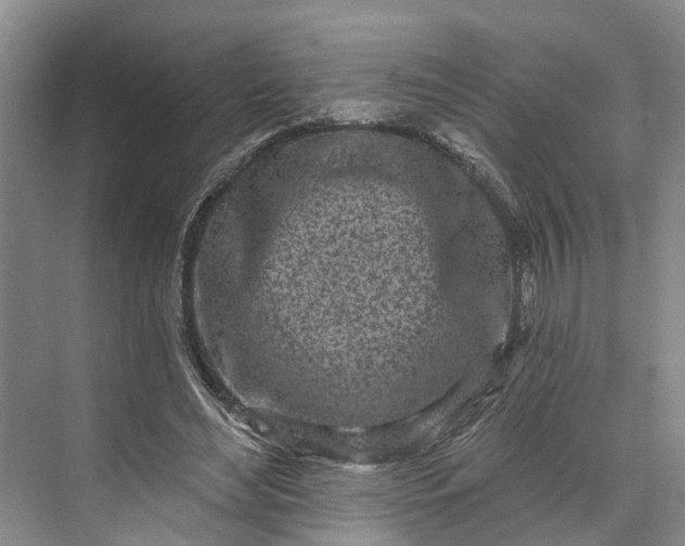 X0000072940492200608041245