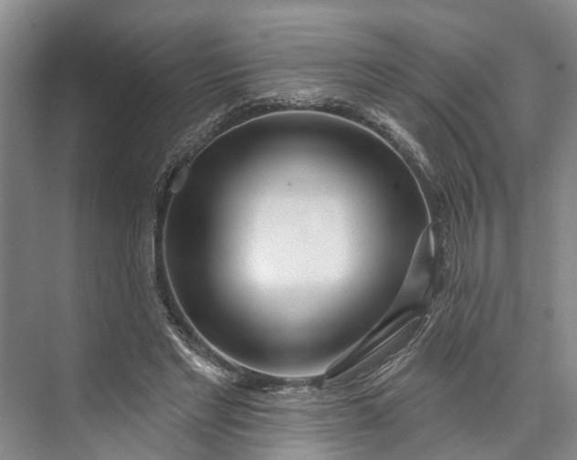 X0000072940493200608041245