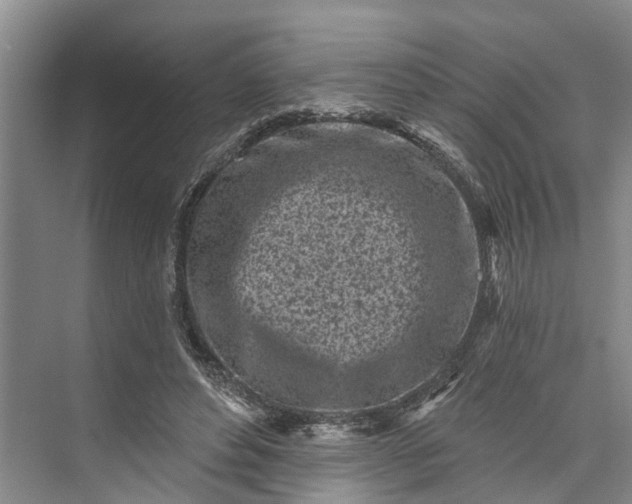 X0000072940496200608041245