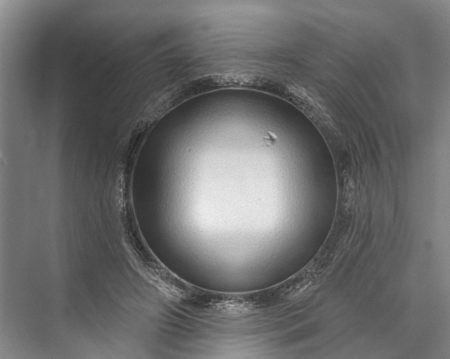 X0000072940498200608041245