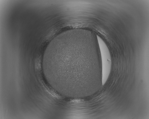 X0000072940499200608041245