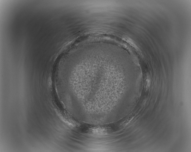 X0000072940500200608041245