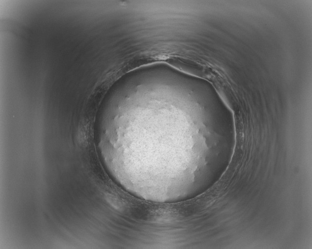 X0000072940503200608041245