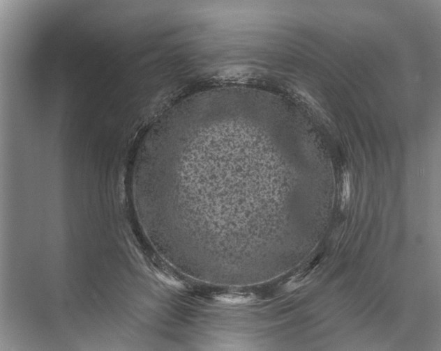 X0000072940504200608041245