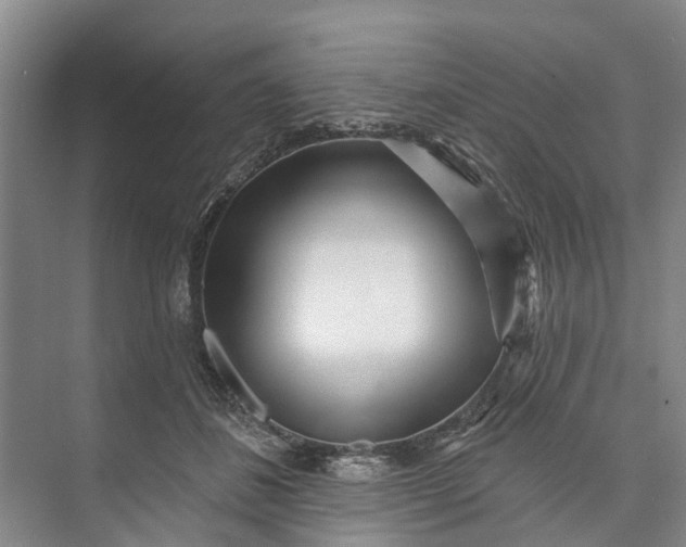 X0000072940508200608041245