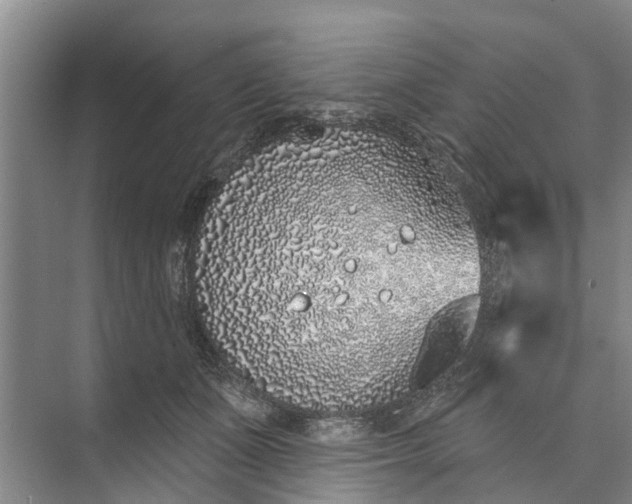 X0000072940511200608041245