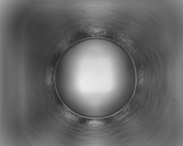 X0000072940515200608041245