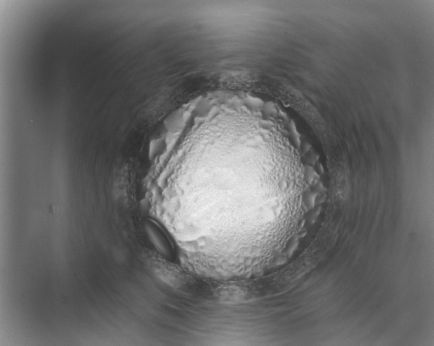 X0000072940519200608041245