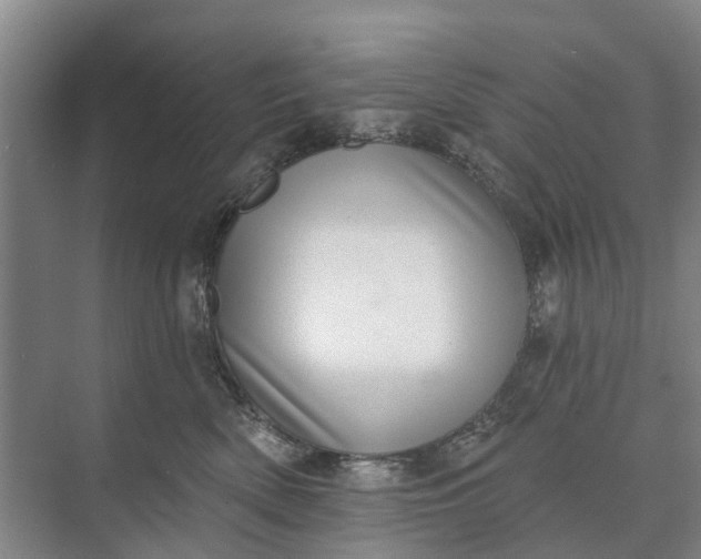 X0000072940522200608041245