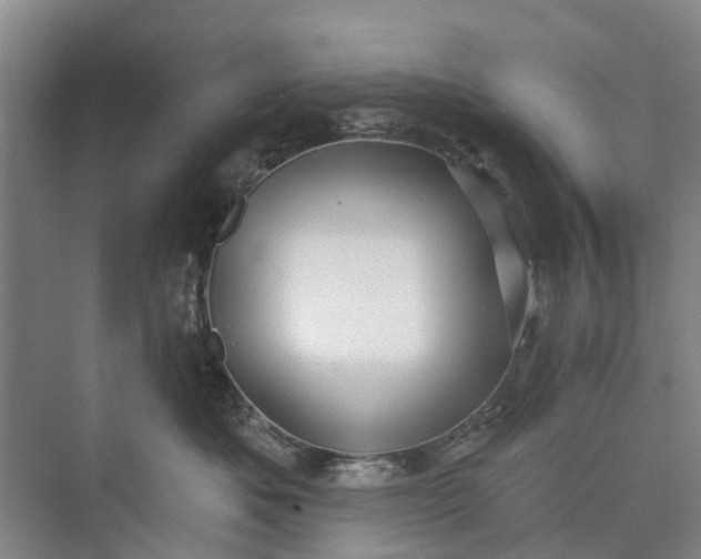 X0000072940525200608041245