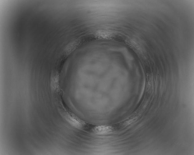 X0000072940526200608041245