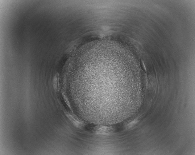 X0000072940527200608041245