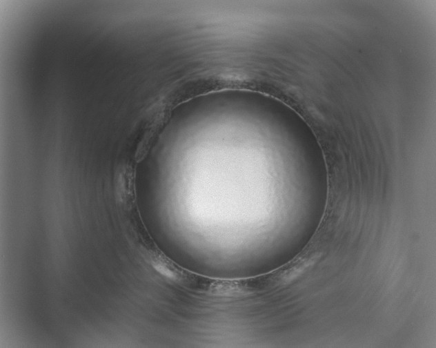 X0000072940528200608041245