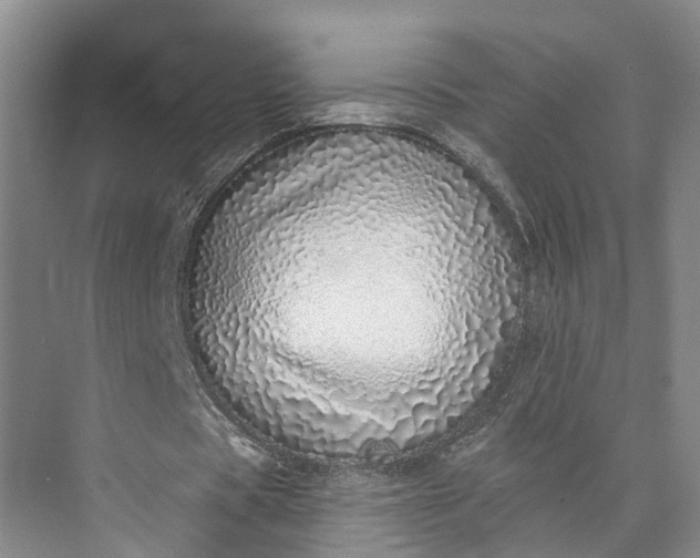 X0000072940529200608041244