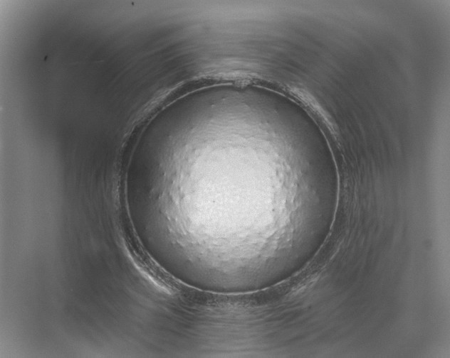 X0000072940533200608041244