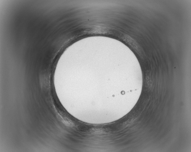 X0000072940534200608041244