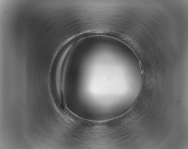 X0000072940536200608041244