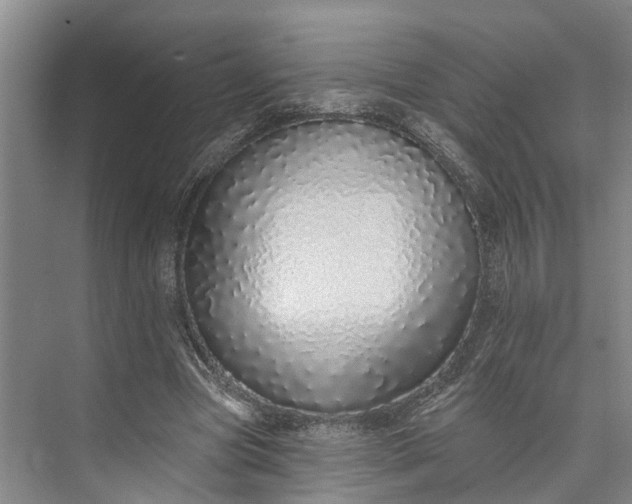 X0000072940537200608041244