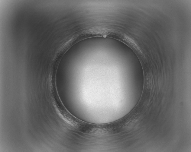 X0000072940538200608041244