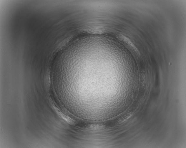 X0000072940541200608041244