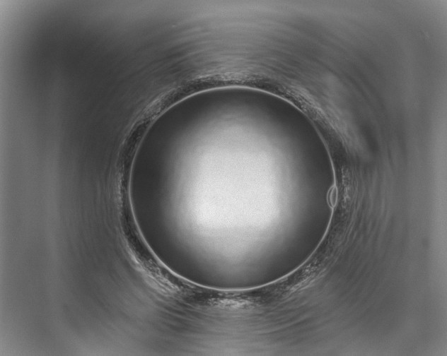 X0000072940542200608041244