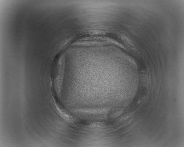 X0000072940550200608041244