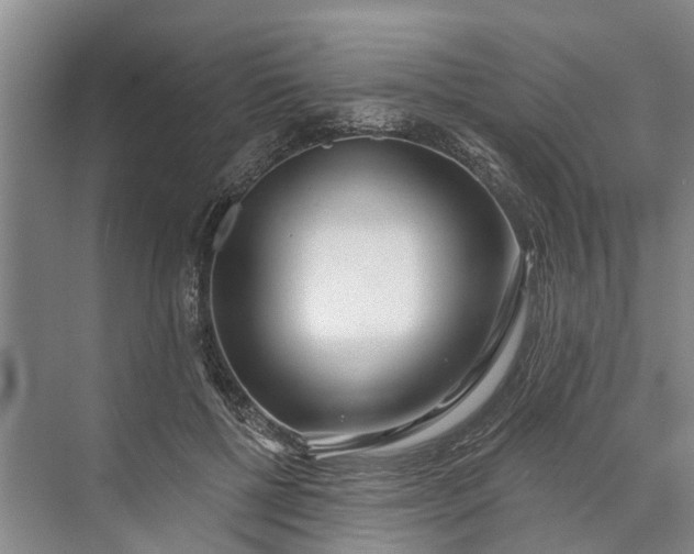 X0000072940552200608041244