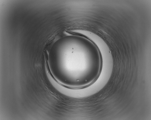 X0000072940556200608041245