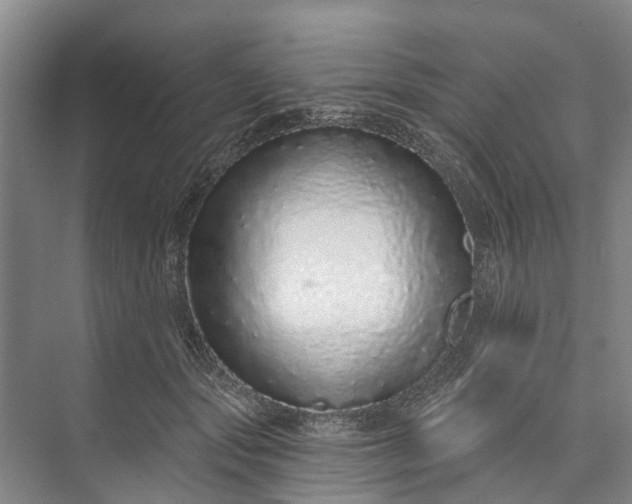 X0000072940557200608041245